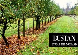 bustan