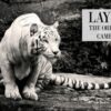 layth