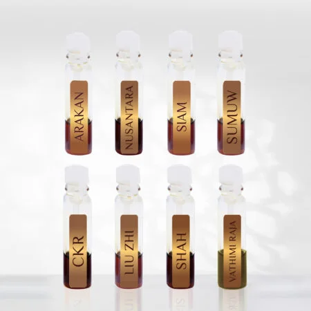 2607 ASO Oudh Discovery Set