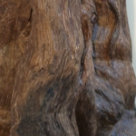 Oudh Square 1