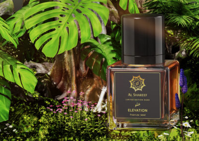 Elevation WS 3000p
