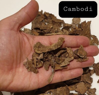 Cambodi Oudh