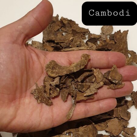 Cambodi Oudh