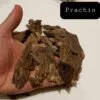 Prachin Oudh