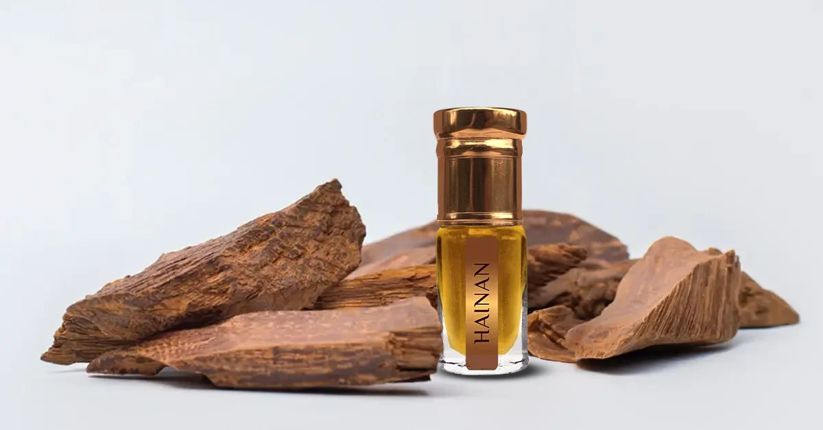 What is Oud?